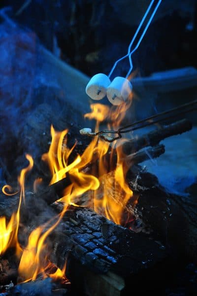 grilla marshmallow på en öppen eld